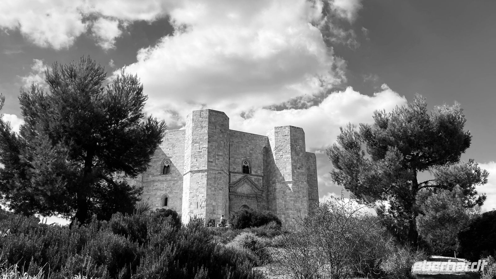 Apulien-Castel del Monte.jpeg