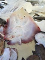 hier kommt alles auf den Teller