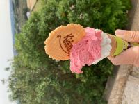 das hatten wir uns verdient