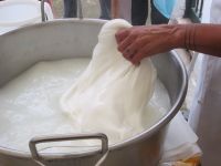 Mozzarella-Herstellung