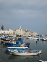 Trani: Hafen und Basilika