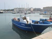 Fischerboot im Hafen von Trani