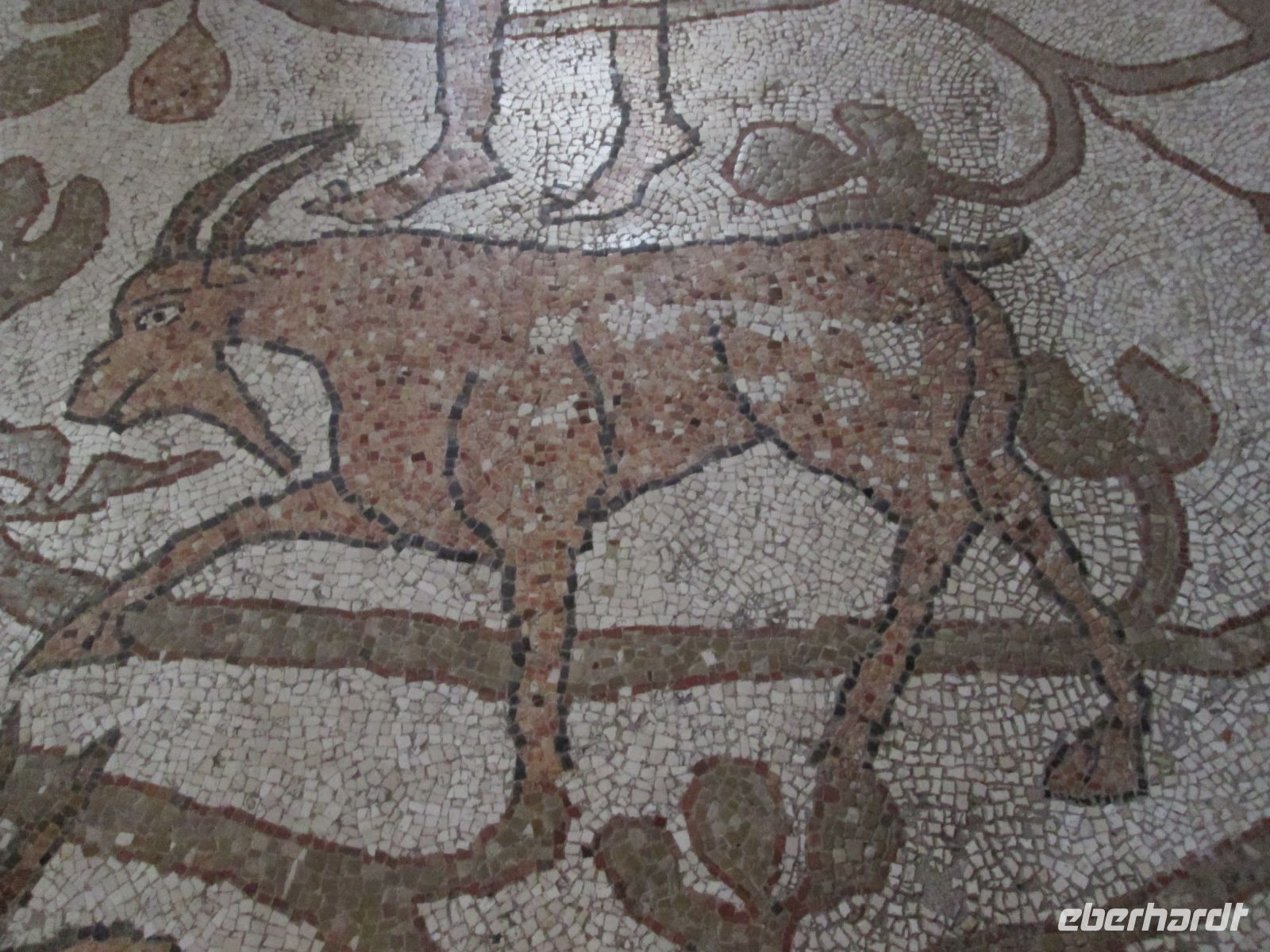 Otranto: Kathedrale, Mosaikfußboden