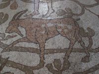 Otranto: Kathedrale, Mosaikfußboden