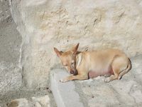 ...mir geht es gut in der Sonne...