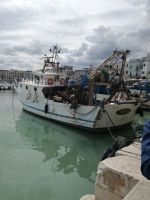 Trani - Hafen