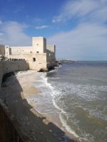 Trani