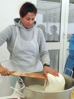 Masseria - Mozzarellaherstellung