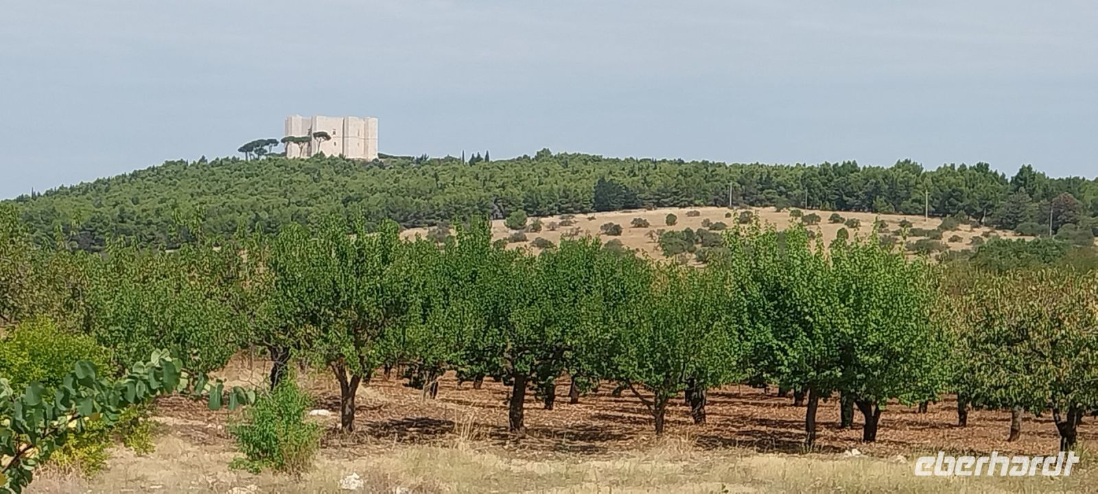 Auf dem Weg zum Castel del Monte - das berühmte Stauferkastell von Friedrich II.