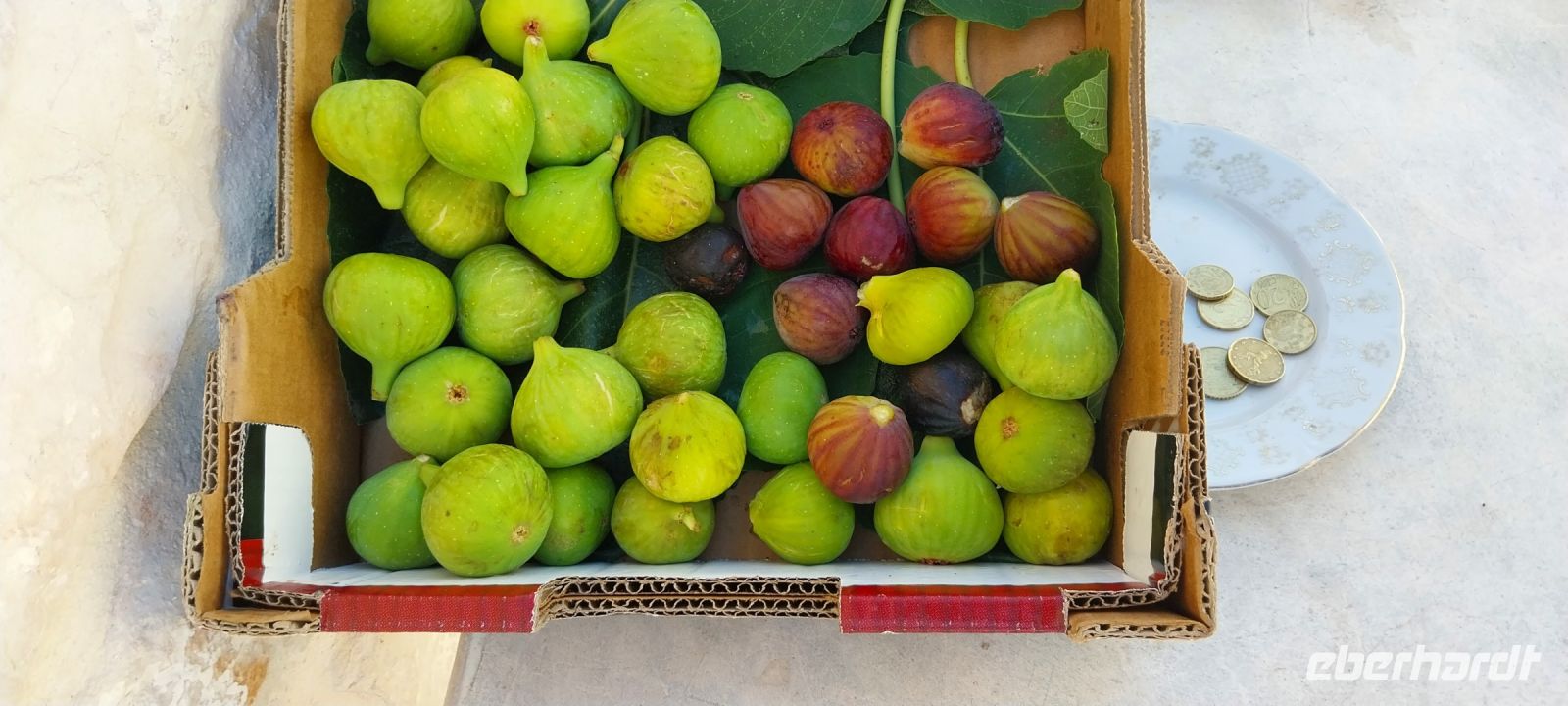 Feigen Apulien Alberobello Produkt @Anette Rietz