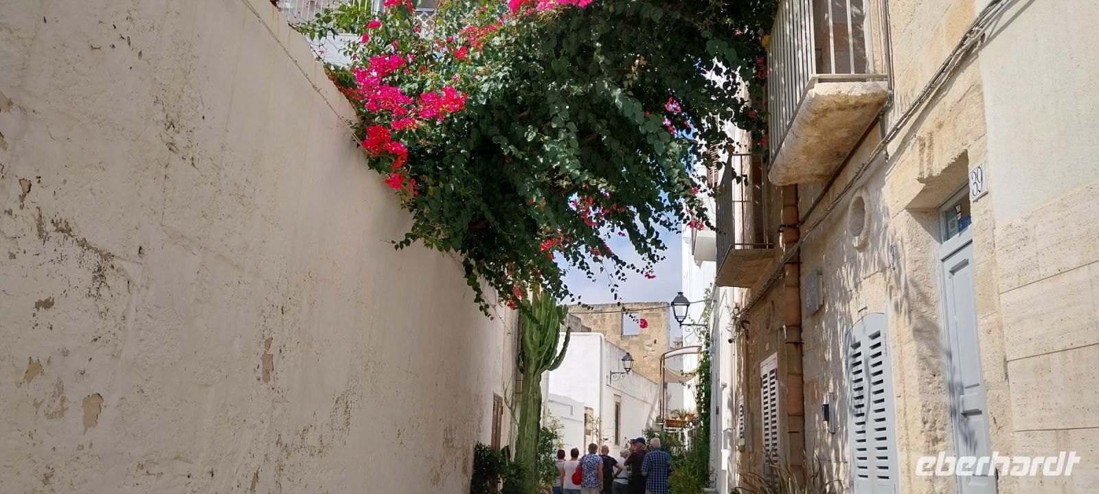Gasse mit Blumen in Polignano a Mare Apulien @Anette Rietz