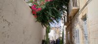 Gasse mit Blumen in Polignano a Mare Apulien @Anette Rietz