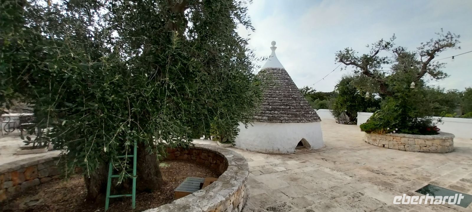 Frantoio Apulien Olivenbaum Trullo Verkostung @Anette Rietz September 2023