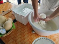 Frisch zubereitet: Mozzarella direkt vor unseren Augen &ndash; &copy; Monika Cortese (Eberhardt TRAVEL)