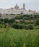 Locorotondo  &ndash; &copy; Monika Cortese (Eberhardt TRAVEL)