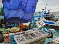 Am Hafen von Trani  &ndash; &copy; Monika Cortese (Eberhardt TRAVEL)