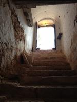 In der Masseria Brancati zur Ölverkostung