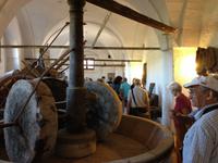 In der Masseria Brancati zur Ölverkostung