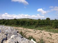 von weitem ist das Castel di Monte zu sehen