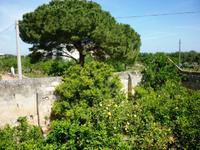 19.04.2014 Masseria Priore