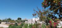 Ankunft in Alberobello - der Trulli-Stadt