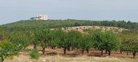 Auf dem Weg zum Castel del Monte - das berühmte Stauferkastell von Friedrich II.