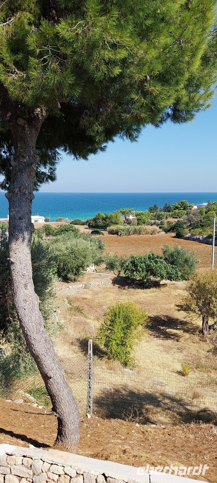Blick vom Poolbereich des Hotels in Monopoli Apulien zum Meer.