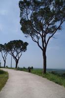 Castel del Monte
