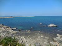 DSCN5004