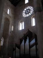 DSCN5018