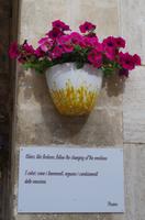 Martina Franca