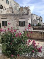 Matera