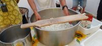 Mozzarella Herstellung Produkt Apulien Show @Anette Rietz