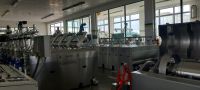 Olivenoel Produktion Apulien