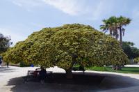 Otranto