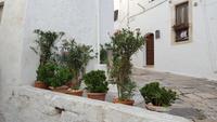 Stadtspaziergang in Ostuni