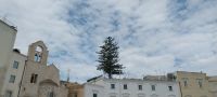Trani Apulien