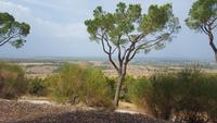 Vor dem Castel del Monte