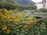 Herrengarten in Brixen