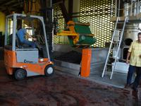 Weinlese im vollen Gange