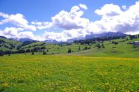 Seiser Alm (2)