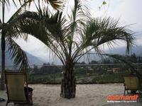 Botanischer Garten Meran