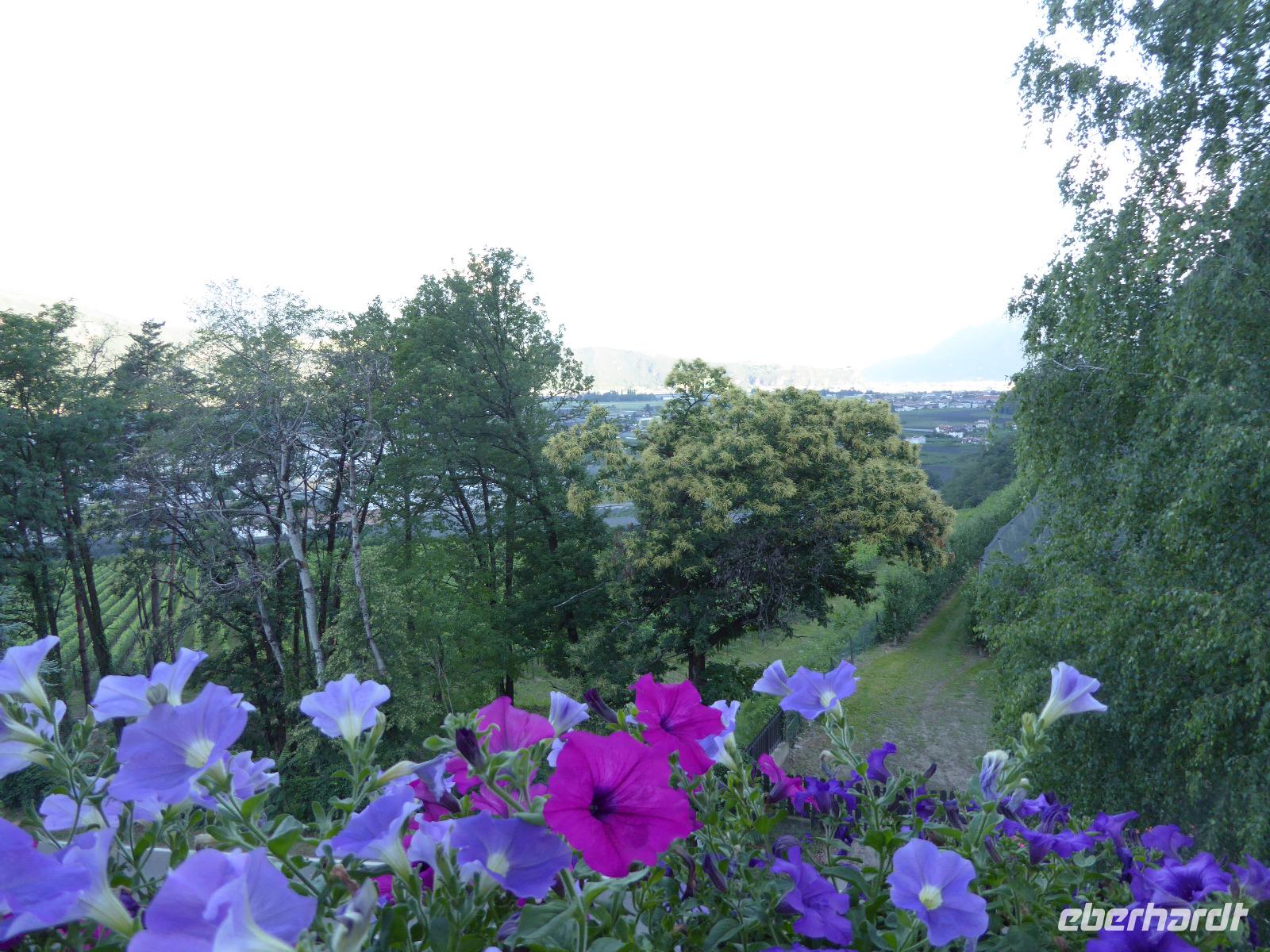 05.06.2017 Blick auf Meran