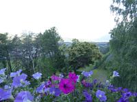 05.06.2017 Blick auf Meran