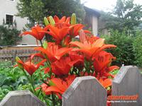 Trotzdem ein Spaziergang in die Umgebung