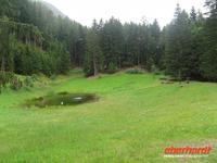 Eigentlich wollten wir hier picknicken ...