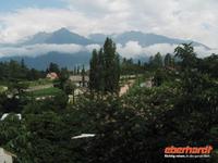 Heute besichtigen wir die Gärten von Schloss Trautmannsdorf