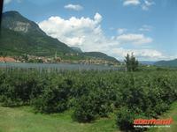 Südtiroler Weinstraße