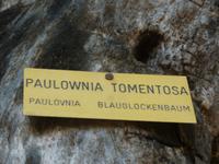 Bozen Wassermauerweg