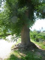 Bozen Wassermauerweg
